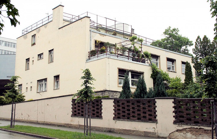 Haasova vila, Brno