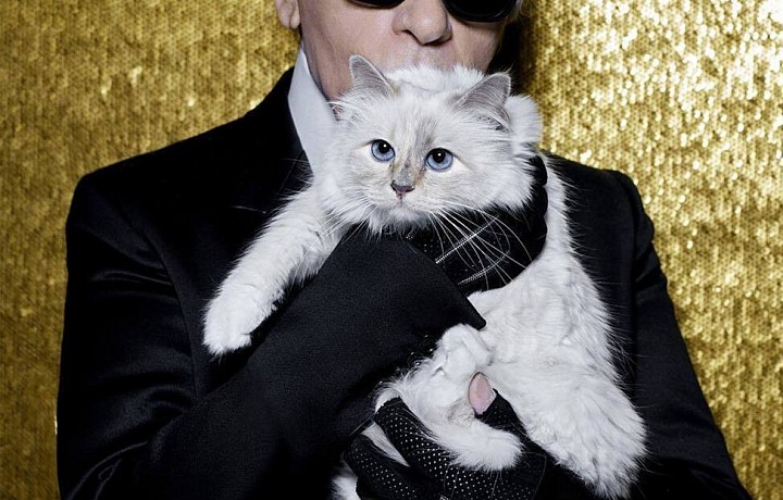 Karl Lagerfeld a Choupette