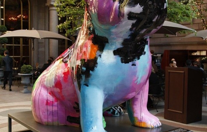Doggy John