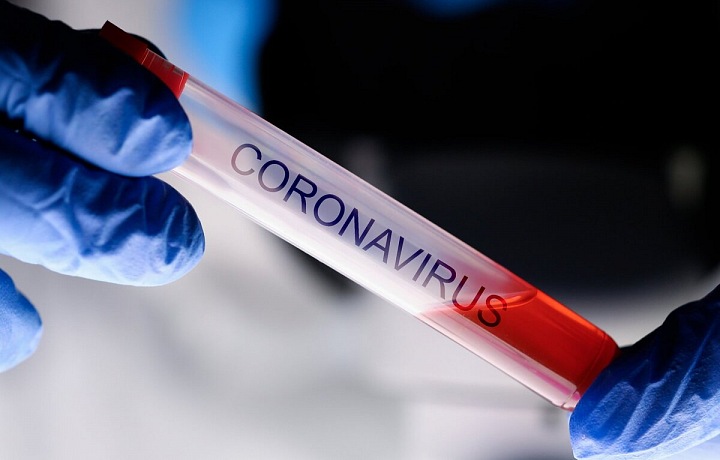 Koronavirus děsí lidstvo.