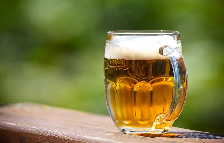 Pivo