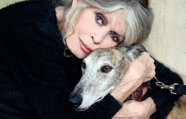 Brigitte Bardot objímající psa