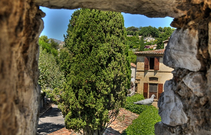  Hotel La Colombe d'Or 