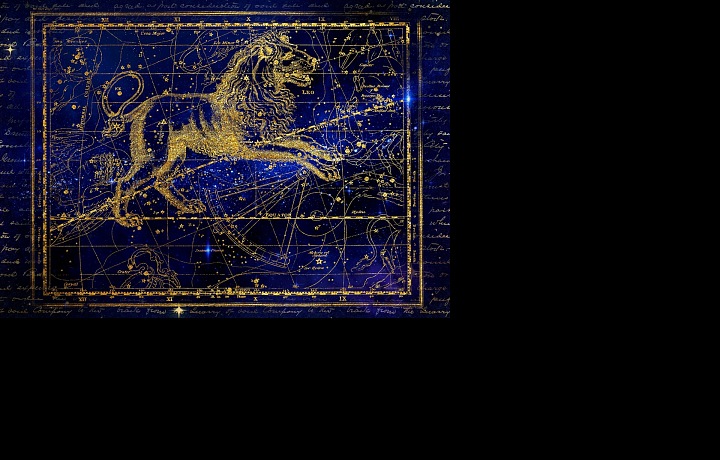 Lev tento rok ovládne astrologii.