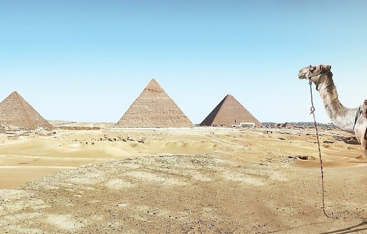 Silvestr s velbloudem