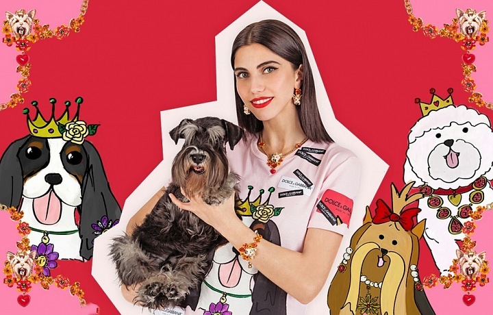 Barevná kolekce se psy.