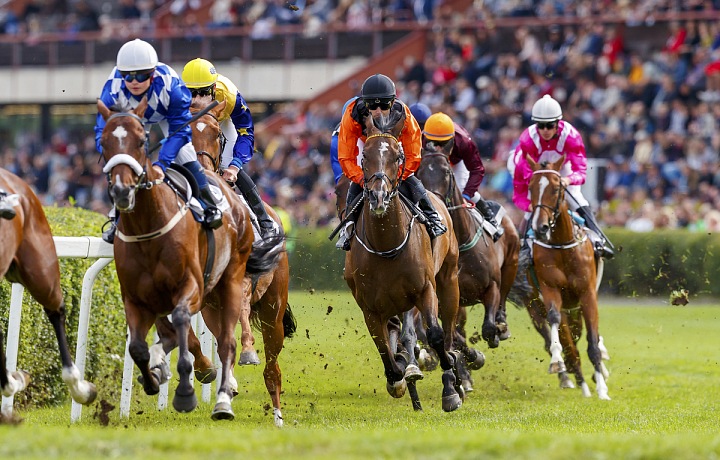 Dostihy Chuchle Arena Praha.
