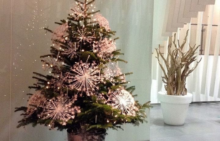 Magic Christmas with Květinové Lahůdkářství