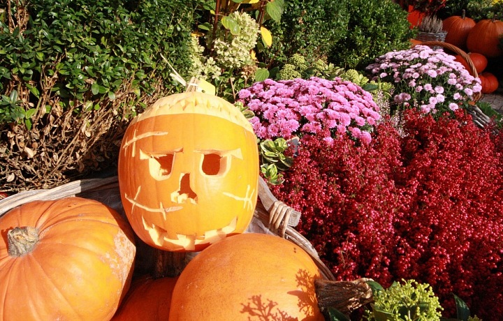 Halloweenská dekorace květinářství Metamorphosis