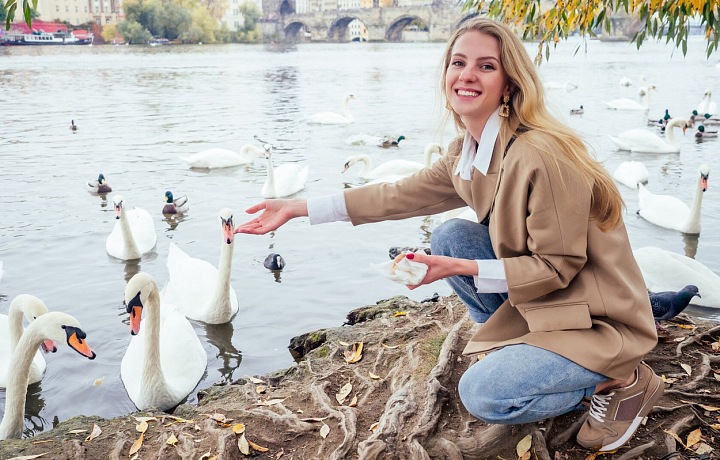 Krmení labutí zůstává oblíbenou zábavou na obou vltavských březích