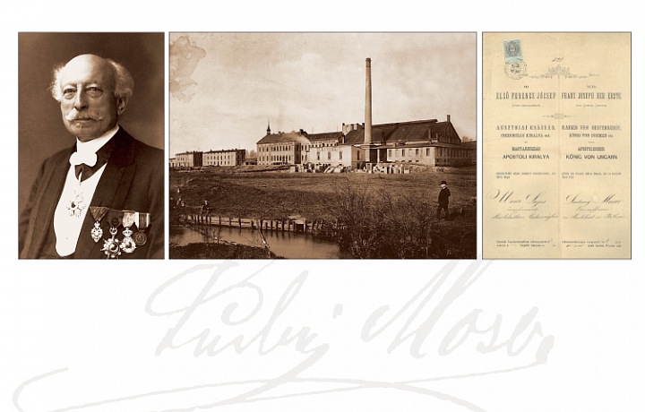 Továrna Moser, Ludwig Moser