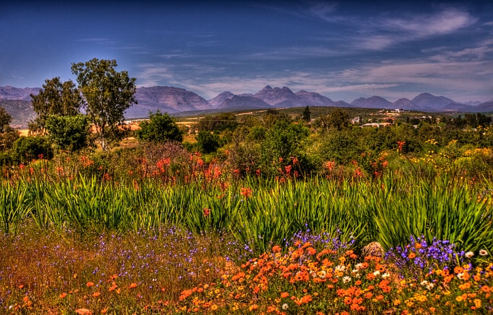 Neuvěřitelná krása Namaqualand