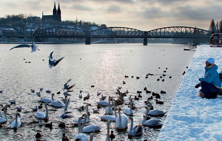 Výhled na Vyšehrad