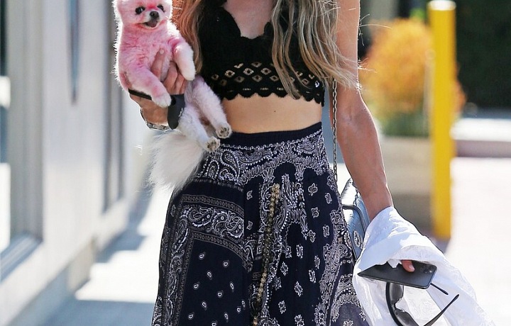 Paris Hilton je vášnivou milovnicí psů.