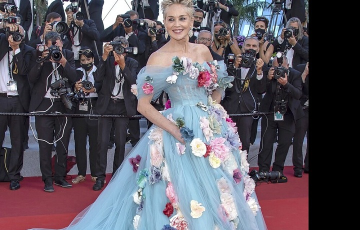 Jeden z nejlepších modelů, jaké měla Sharon Stone kdy na sobě