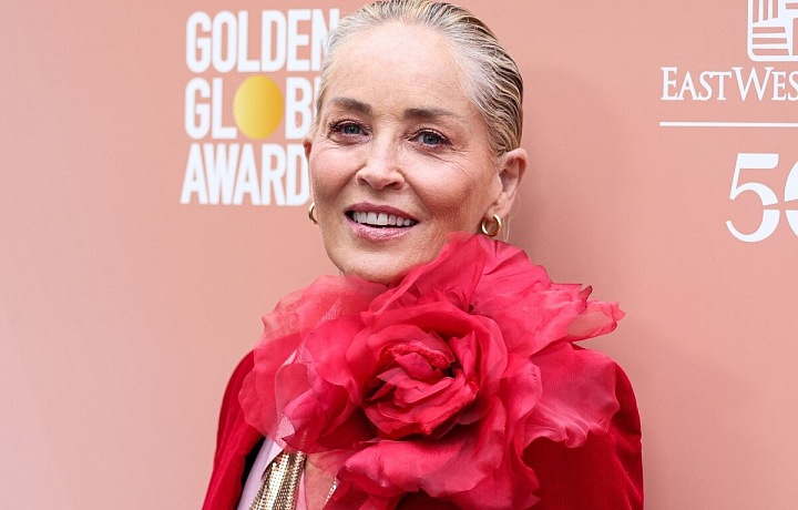 Svým vytříbeným vkusem je herečka Sharon Stone proslulá