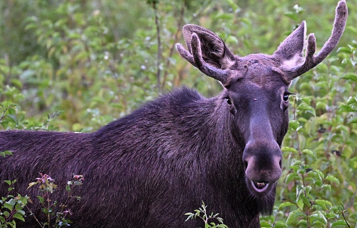 Emil se stal na cestě terčem velkého zájmu veřejnosti