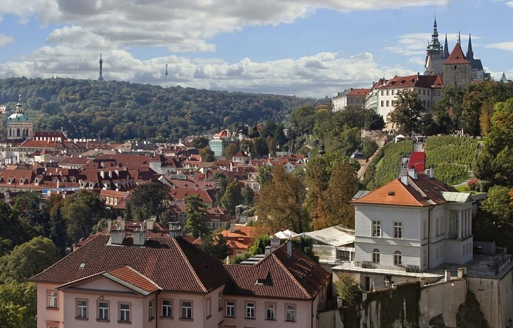 Pohled na Svatováclavskou vinice