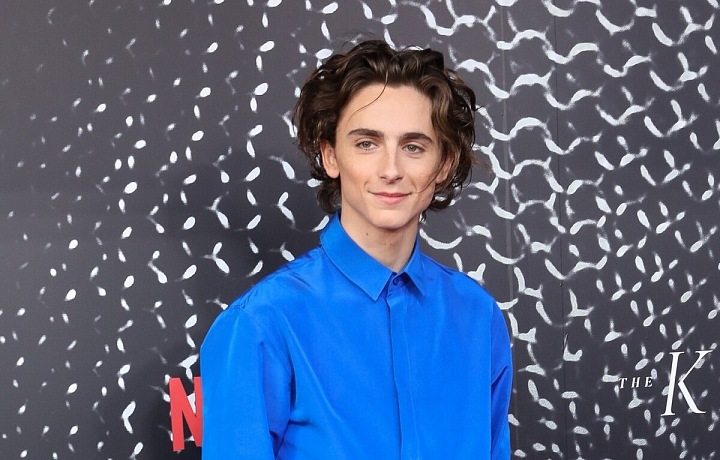 Timothée Chalamet
